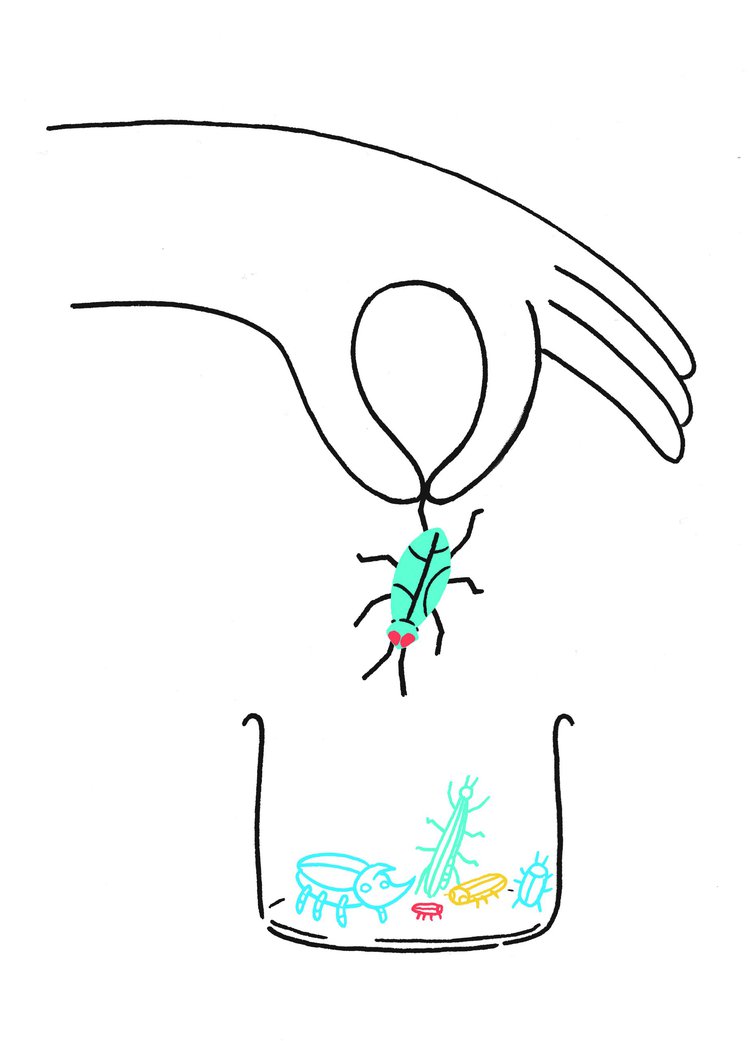06