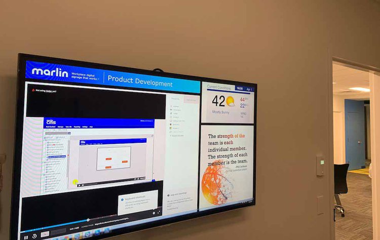 Team-display-product-experience-insights