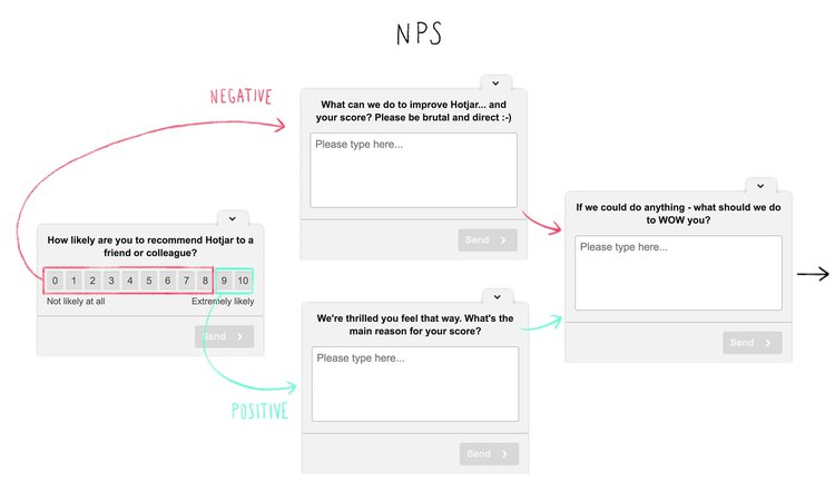 determine your net promoter score with surveys