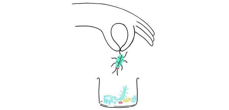 graphic representing computer bugs