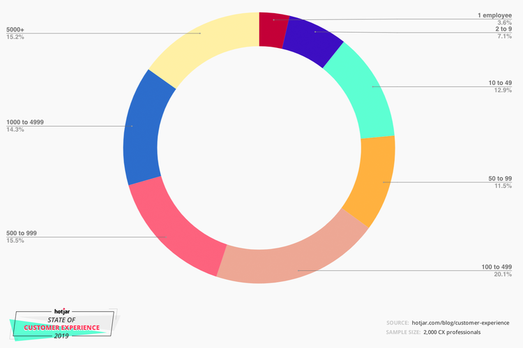 customer-experience-company-size