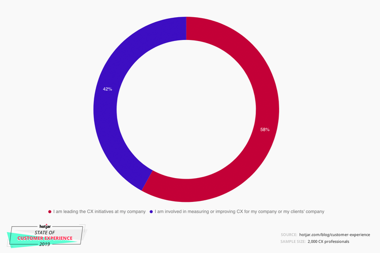 customer-experience-demographics