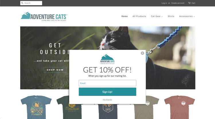 ecommerce popup discount code