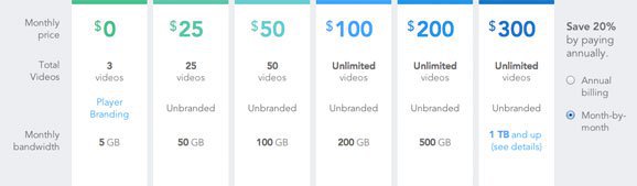 wistia pricing