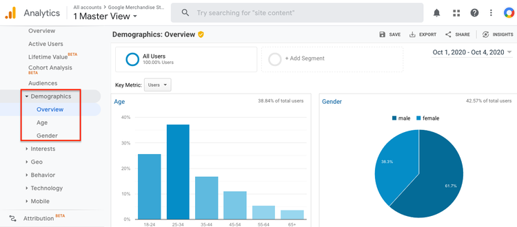google-analytics-demographic-audience-report
