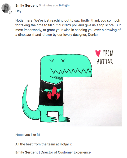 An example of customer reply by the Hotjar team