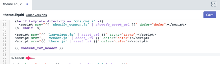 shopify_theme_liquid_head_tag
