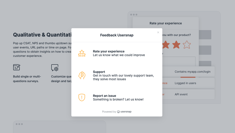 usersnap-feedback-example.png